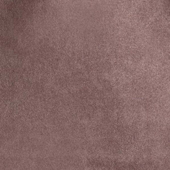 24229319 - GLICINE