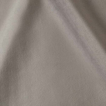 2427504 - SILVER