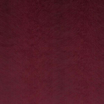 24203011 - CHIANTI