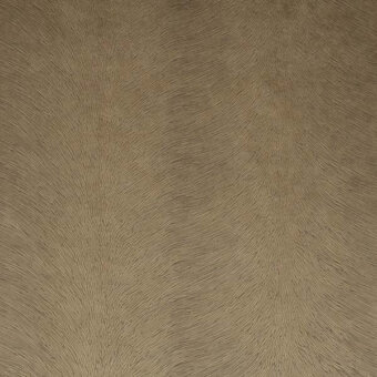24203074 - OCRA