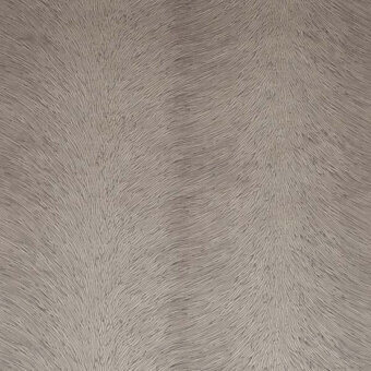 24203075 - BETULLA