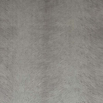 24203091 - SILVER