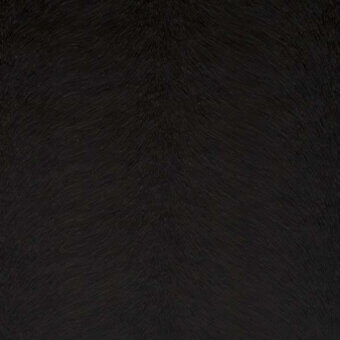 24203099 - ANTRACITE