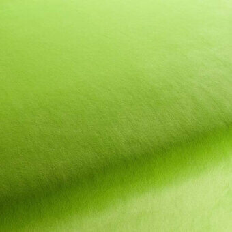 CA7832038 - CHARTREUSE