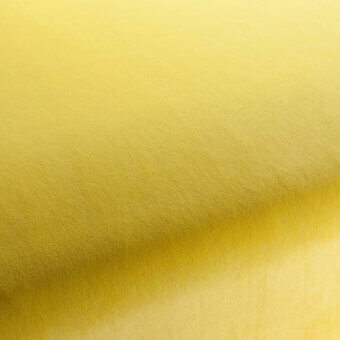 CA7832042 - BANANA BRILLANTE