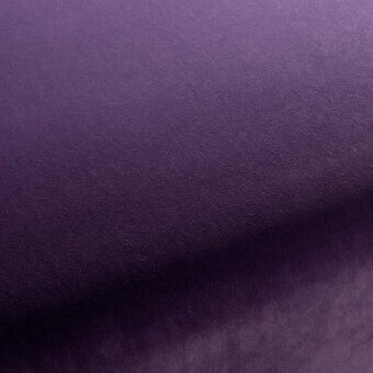 CA7832084 - VIOLETTO