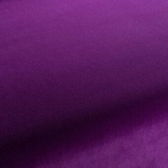 CA7832088 - VIOLA