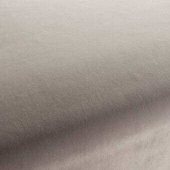 CA7832096 - PLATINO
