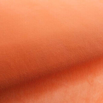 CA7832161 - SALMONE