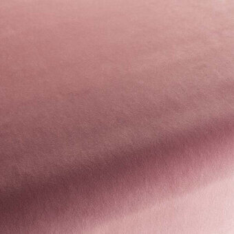 CA7832166 - ROSA ANTICO