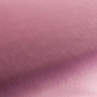 CA7832167 - ORCHIDEA