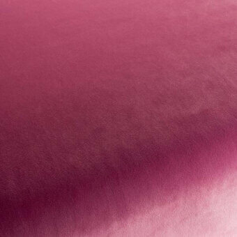 CA7832168 - FUCSIA