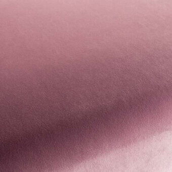 CA7832169 - ROSA SCURO