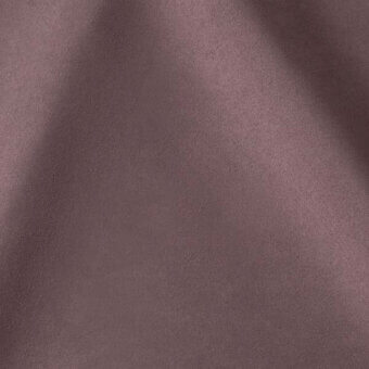 2431527 - LAVENDER
