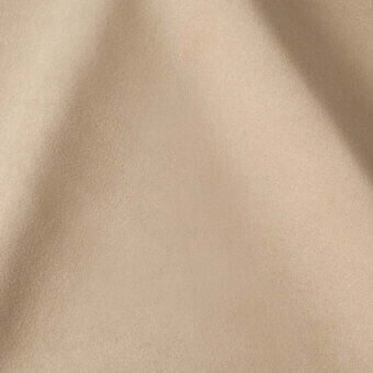 2431542 - BONE