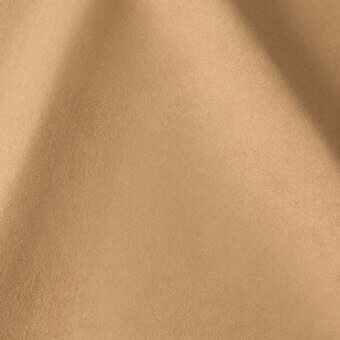 2431543 - SANDY
