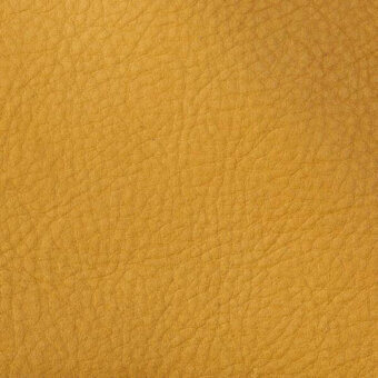 2434803 - GIRASOLE
