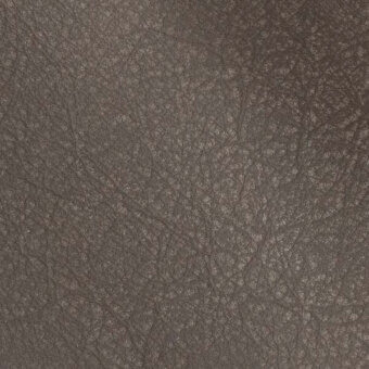 2434836 - TAUPE