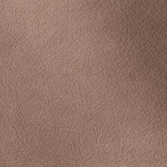 2431403 - MINK
