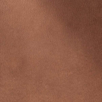 2431419 - CAPPUCCINO