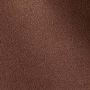 2431429 - CACAO