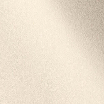 11001101 - CAMELIA