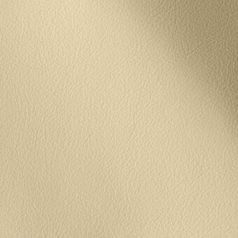 11001103 - LICHENE