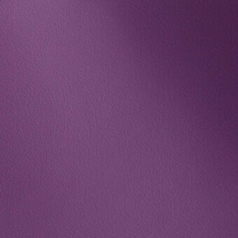 11001127 - VIOLA