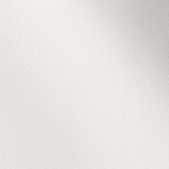 11001130 - NEVE
