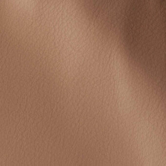 11001145 - NOISETTE