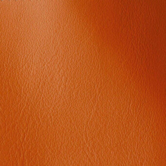 11001149 - ZUCCA