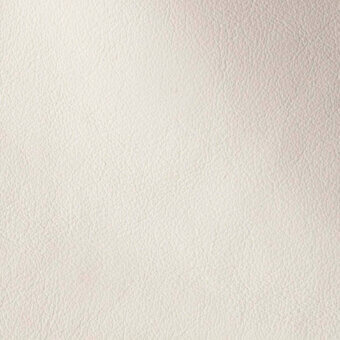 11001151 - LATTE