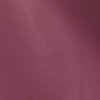11001155 - CICLAMINO