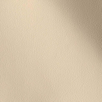11001162 - AVORIO