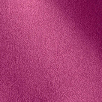 11001175 - FUCSIA
