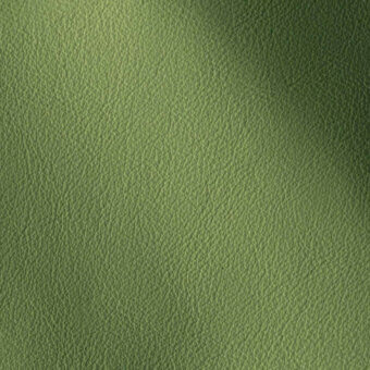 11001179 - MENTA