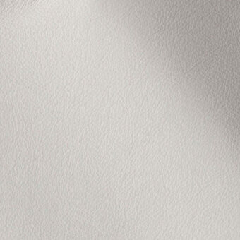 11001279 - PERLA
