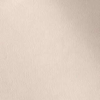 241273403 - ANGORA
