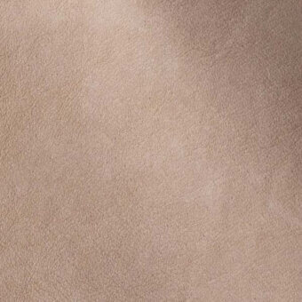 241273405 - TARTUFO CHIARO