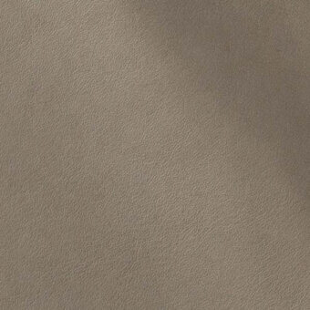 2426123 - FANGO