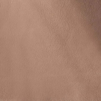 24133513 - TORTORA