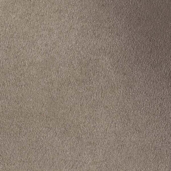 501286 - SALVIA