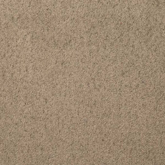 5018603 - NOCCIOLA