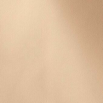 500205 - PALE