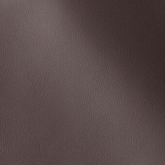 500234 - EBONY