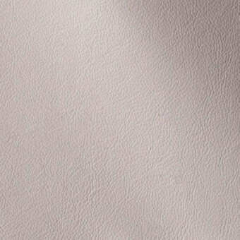 500236 - SILVER