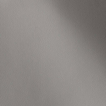 500256 - IRON