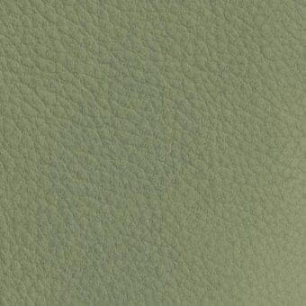 Olive-green leather texture with granular surface, matte finish, and consistent pore detail throughout the frame, displaying a natural hide appearance.